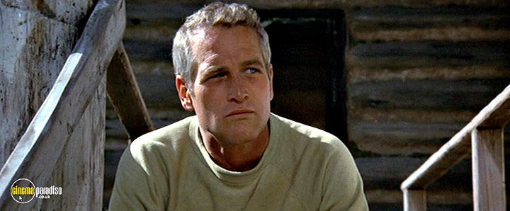 A still #9 from Sometimes a Great Notion (1970)