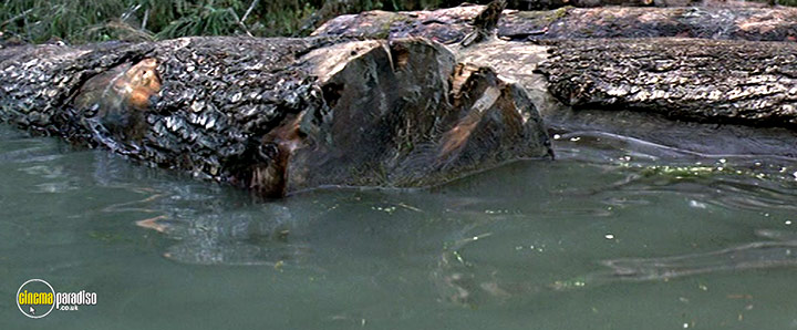 A still #5 from Sometimes a Great Notion (1970)