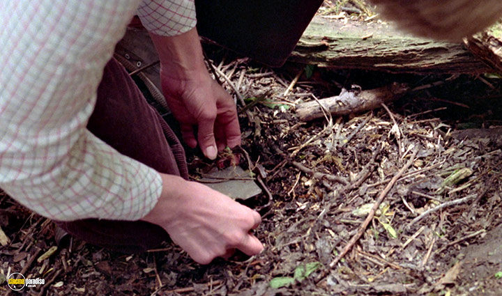 A still #23 from Prey (1977)