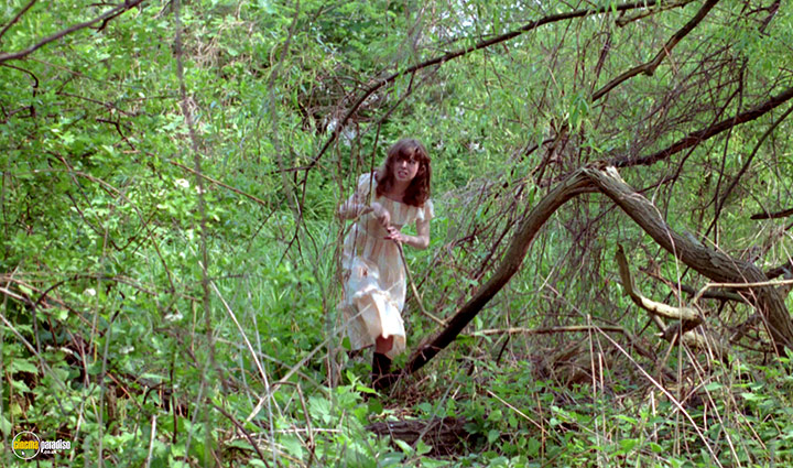 A still #22 from Prey (1977)