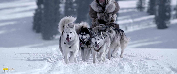 A still #1 from The Great Alaskan Race (2019)