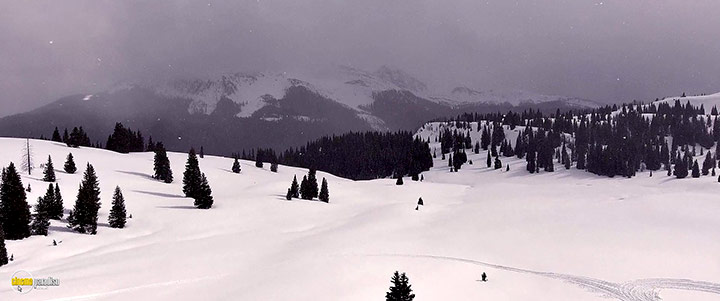 A still #2 from The Great Alaskan Race (2019)