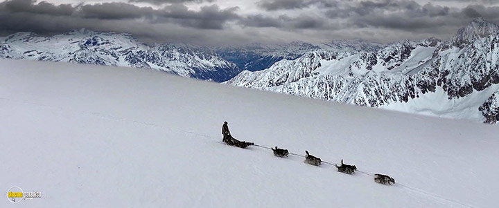 A still #3 from The Great Alaskan Race (2019)