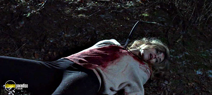 A still #5 from Tales from the Lodge (2019)