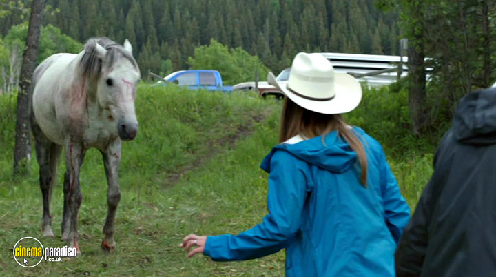 A still #32 from Heartland: Series 12 (2019)