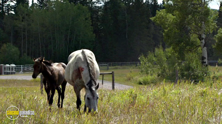 A still #26 from Heartland: Series 12 (2019)