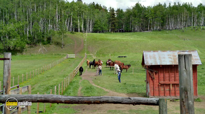 A still #22 from Heartland: Series 12 (2019)