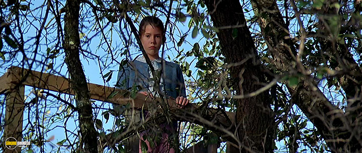 A still #33 from The Chamber (1996)