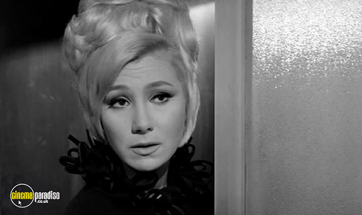 A still #13 from The Wild Affair (1965)