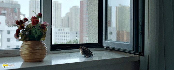 A still #30 from The Farewell (2019)