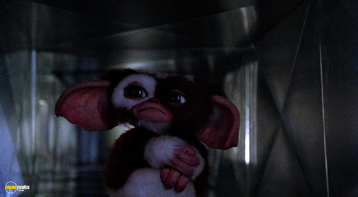 A still #30 from Gremlins 2: The New Batch (1990)
