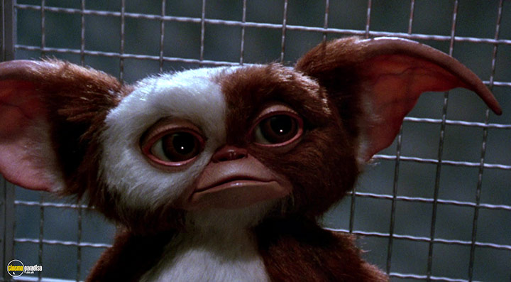 A still #1 from Gremlins 2: The New Batch (1990)