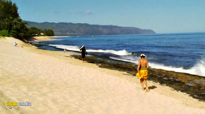 A still #29 from Surfwise (2007)
