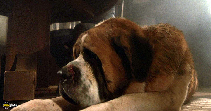 A still #37 from Cujo (1983)