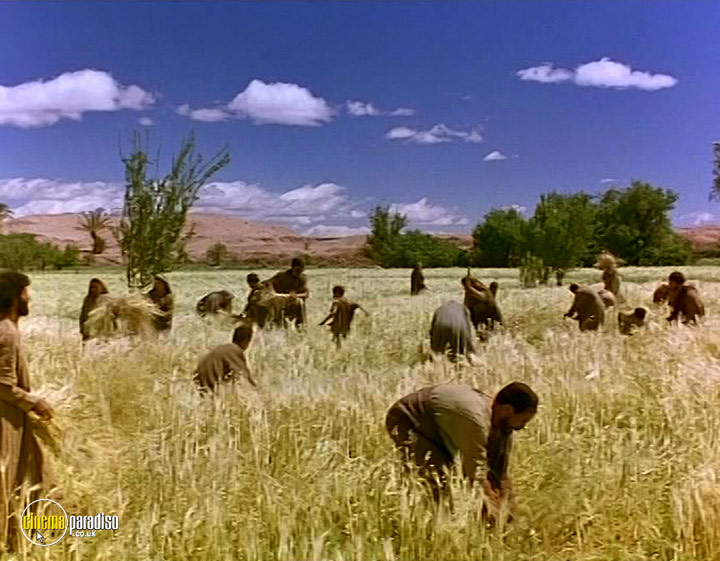 A still #30 from The Bible: Samson and Delilah (1996)