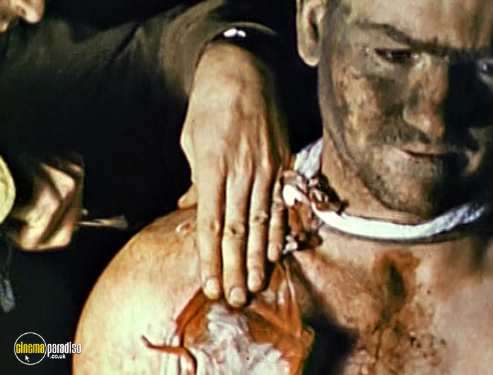A still #36 from World War II in Colour: The Price of War (2005)