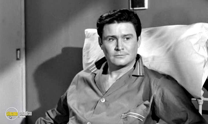 A still #8 from Twice Round the Daffodils (1962)