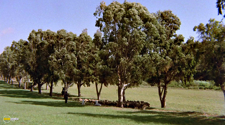 A still #6 from The Count of Monte-Cristo (1975)
