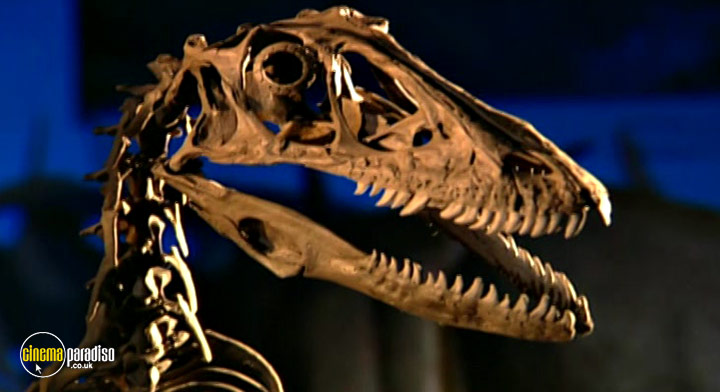 A still #24 from Rise of the Feathered Dragon (2006)