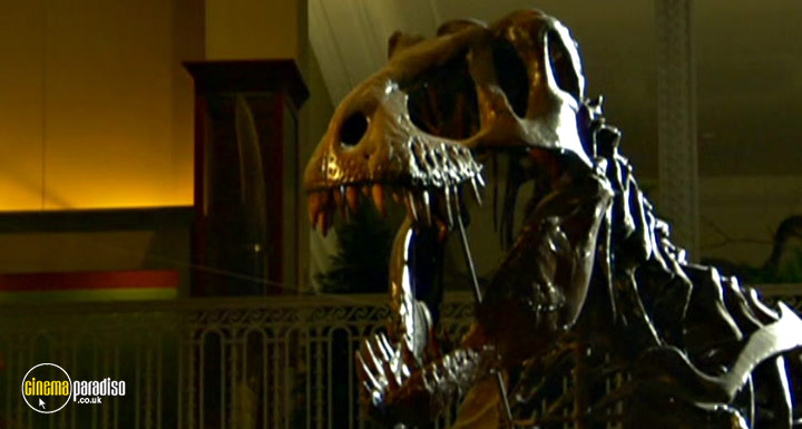 A still #23 from Rise of the Feathered Dragon (2006)