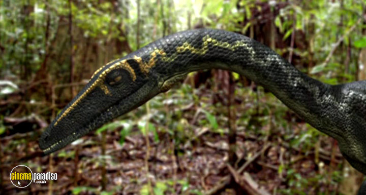 A still #1 from Rise of the Feathered Dragon (2006)