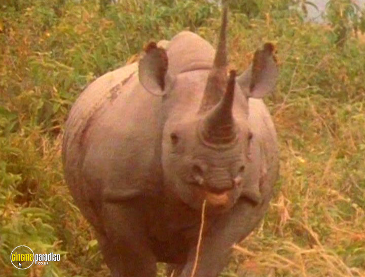 A still #17 from The World of Wildlife: Africa (2008)