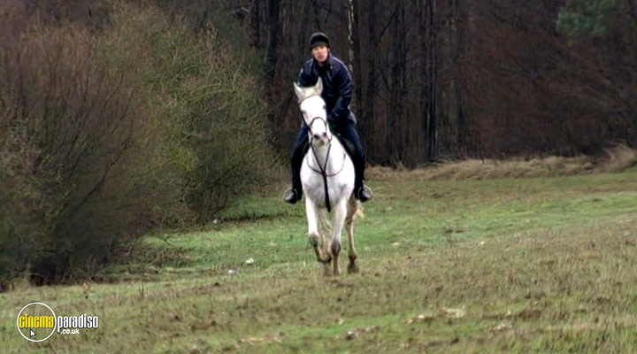 A still #2 from The Real War Horse (2012)