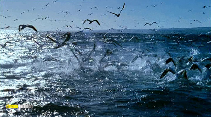 A still #26 from Deep Blue (2003)