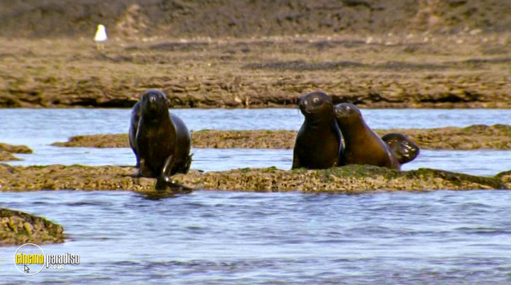 A still #25 from Deep Blue (2003)