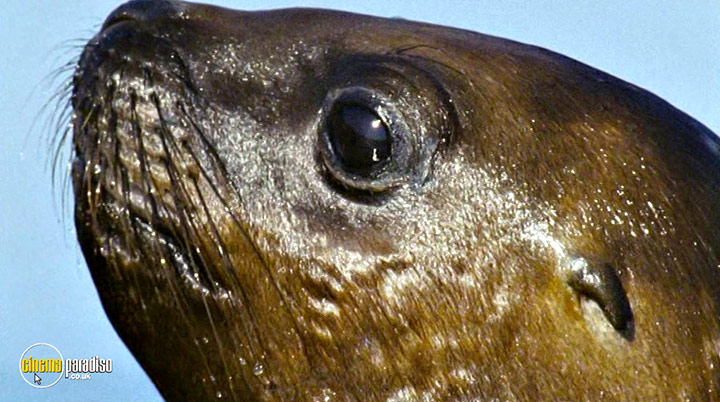A still #23 from Deep Blue (2003)