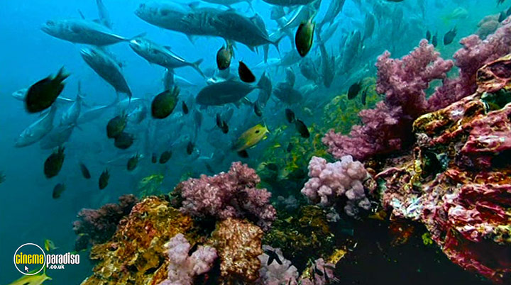 A still #20 from Deep Blue (2003)