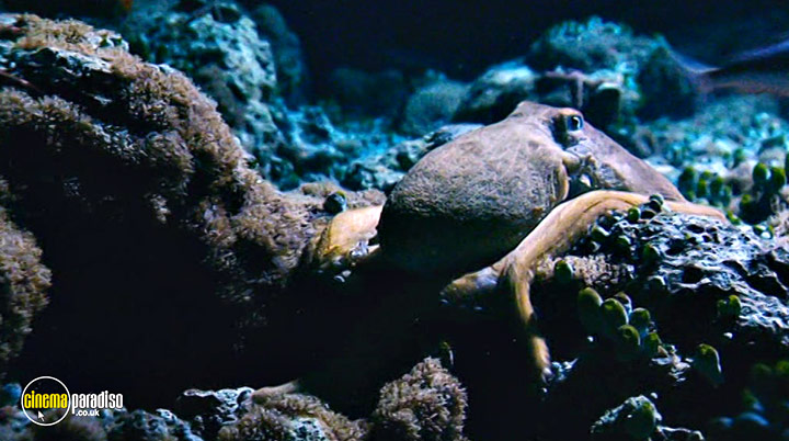 A still #19 from Deep Blue (2003)