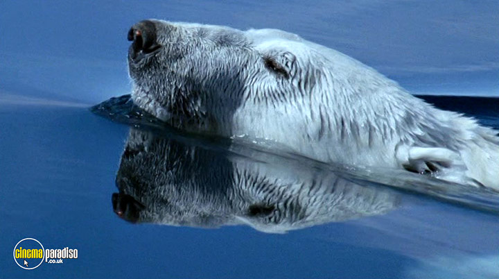 A still #18 from Deep Blue (2003)