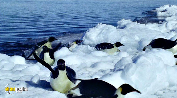 A still #16 from Deep Blue (2003)