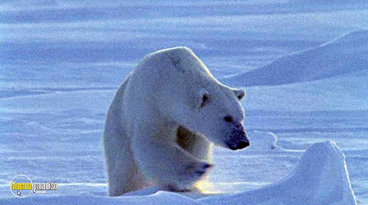 A still #15 from Deep Blue (2003)