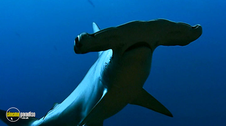 A still #12 from Deep Blue (2003)