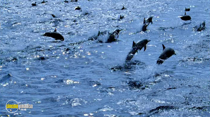 A still #11 from Deep Blue (2003)