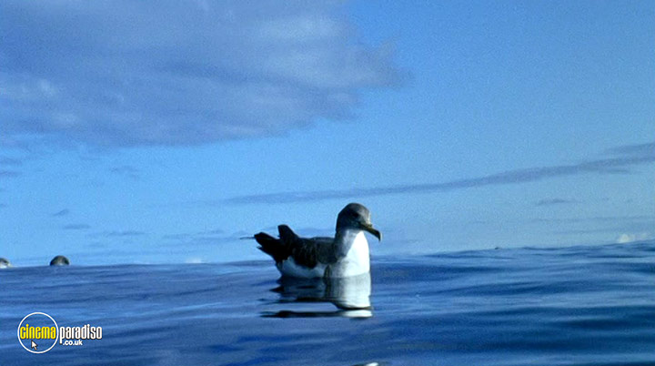 A still #6 from Deep Blue (2003)