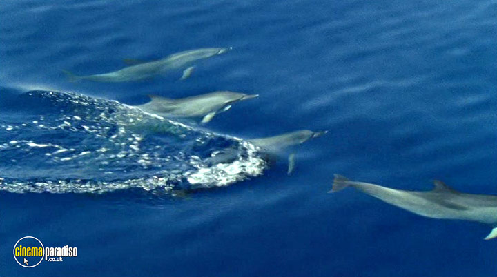 A still #5 from Deep Blue (2003)