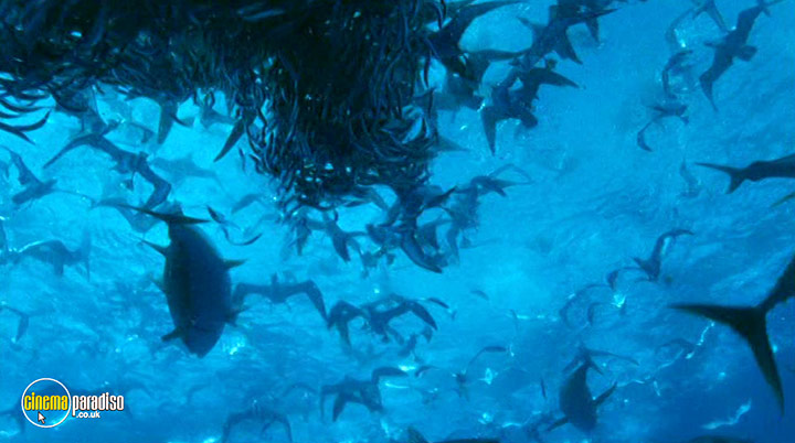 A still #3 from Deep Blue (2003)