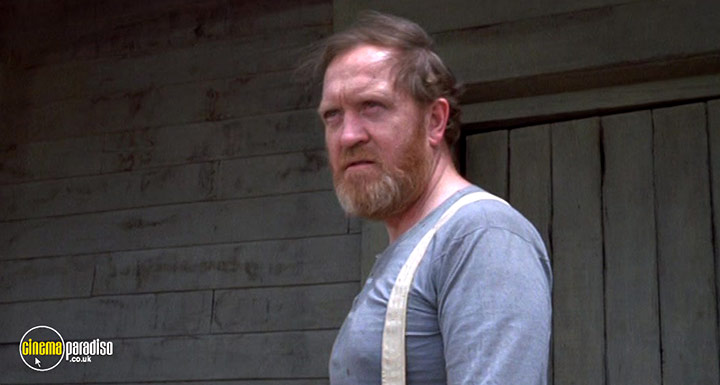 A still #4 from Chato's Land (1972)