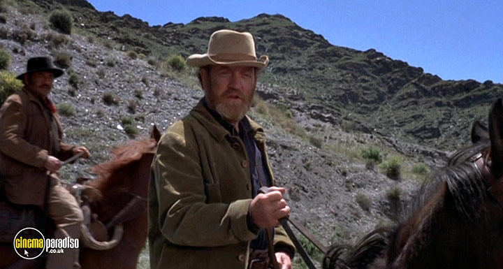 A still #10 from Chato's Land (1972)