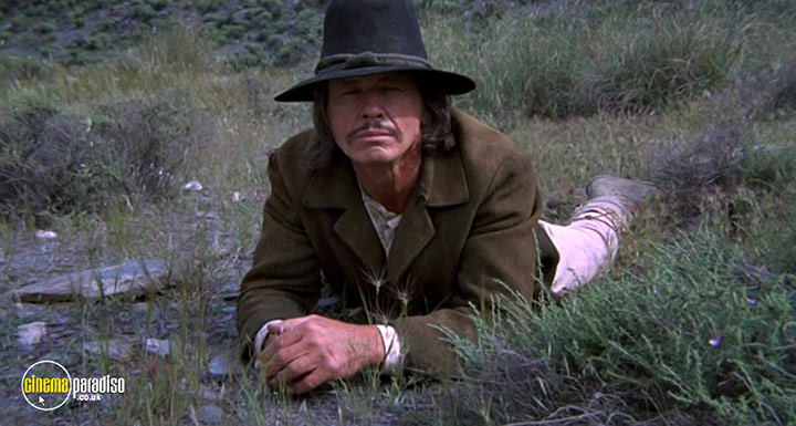 A still #11 from Chato's Land (1972)