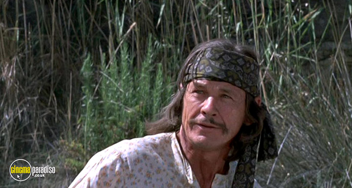 A still #20 from Chato's Land (1972)
