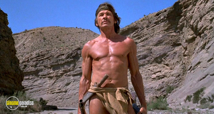 A still #24 from Chato's Land (1972)