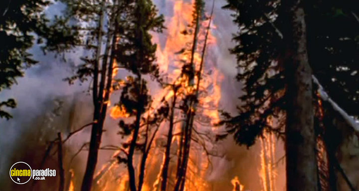 A still #2 from 2012: The Final Prophecy (2010)