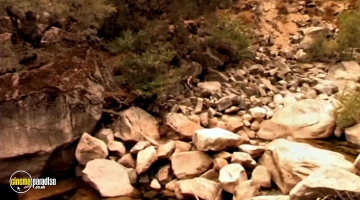 A still #5 from Bloodwood Cannibals (2010)