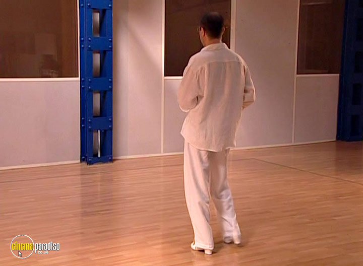 A still #14 from Cuban Salsa for Beginners (2009)