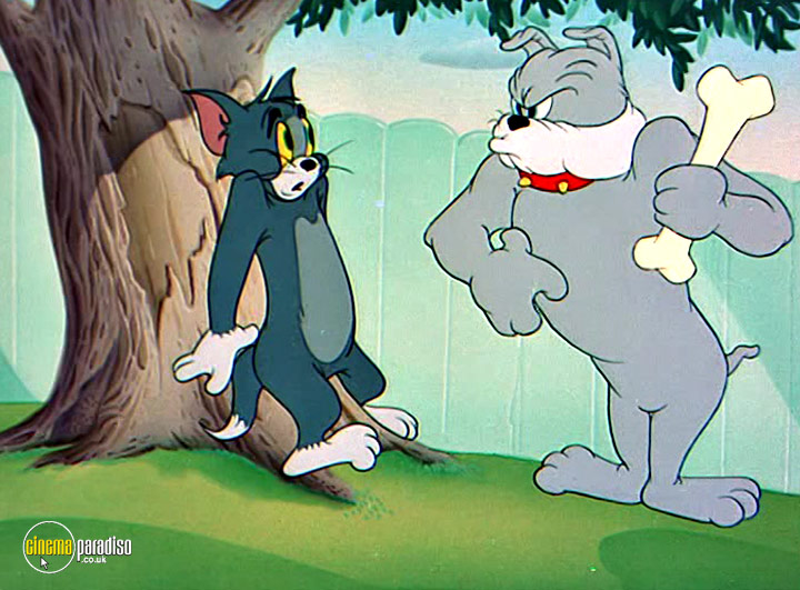 Cinema Paradiso 4K Bluray, Bluray & DVD Rental service