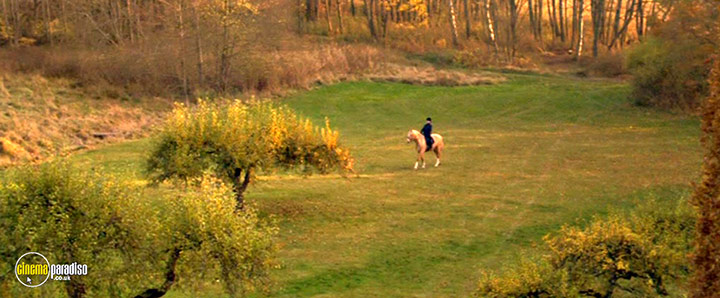A still #19 from Exit (2006)
